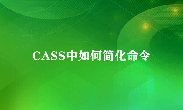 CASS中如何简化命令