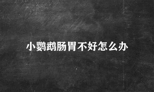 小鹦鹉肠胃不好怎么办