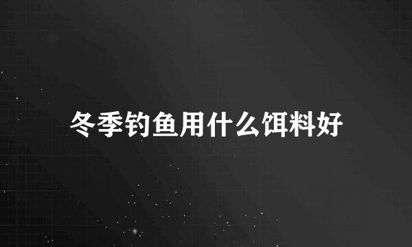 冬季钓鱼用什么饵料好