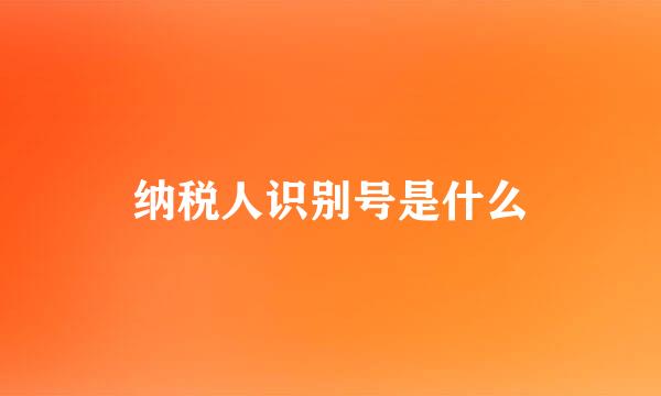 纳税人识别号是什么