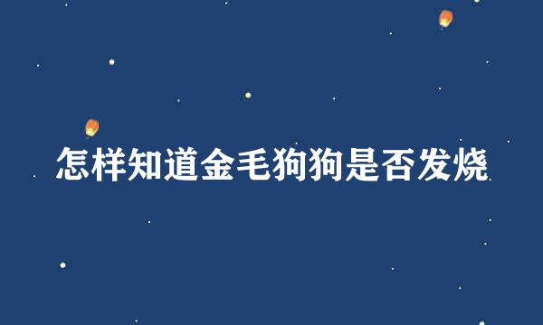 怎样知道金毛狗狗是否发烧
