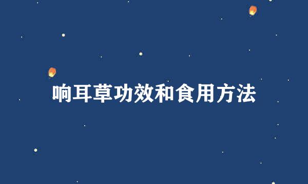 响耳草功效和食用方法