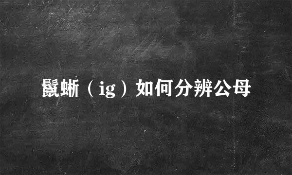 鬣蜥（ig）如何分辨公母