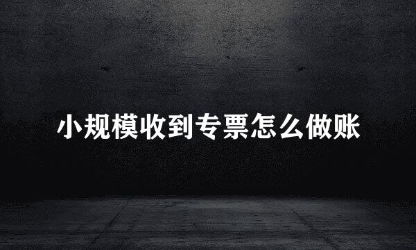 小规模收到专票怎么做账