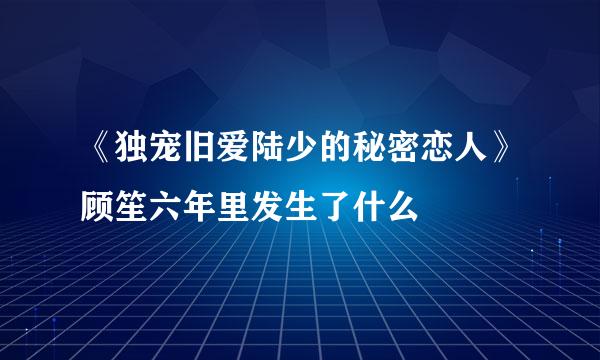 《独宠旧爱陆少的秘密恋人》顾笙六年里发生了什么