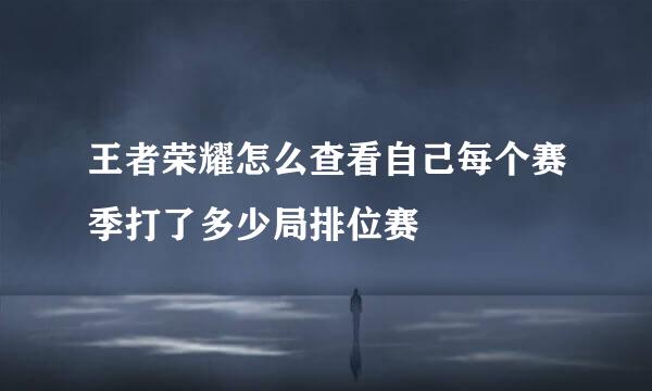 王者荣耀怎么查看自己每个赛季打了多少局排位赛