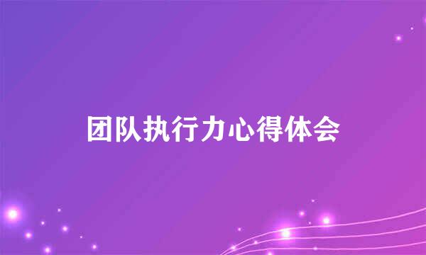 团队执行力心得体会