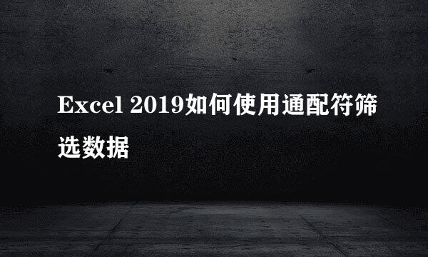 Excel 2019如何使用通配符筛选数据
