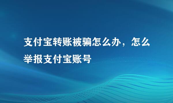 支付宝转账被骗怎么办,怎么举报支付宝账号