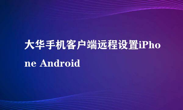 大华手机客户端远程设置iPhone Android