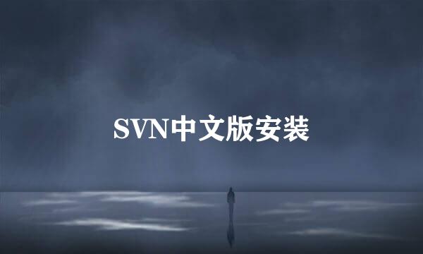 SVN中文版安装
