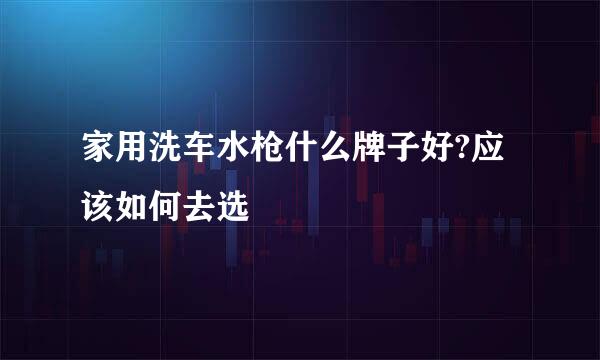 家用洗车水枪什么牌子好?应该如何去选