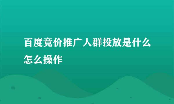 百度竞价推广人群投放是什么怎么操作
