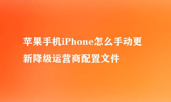 苹果手机iPhone怎么手动更新降级运营商配置文件
