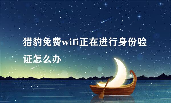 猎豹免费wifi正在进行身份验证怎么办