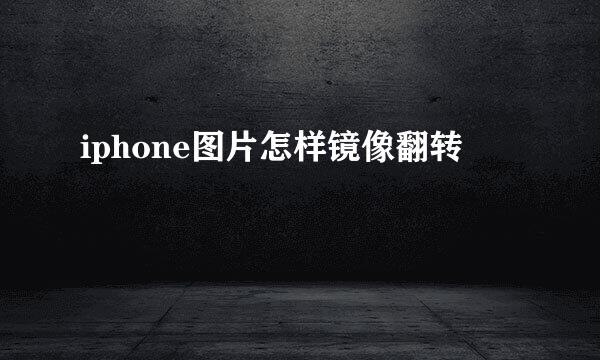 iphone图片怎样镜像翻转