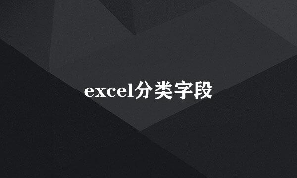 excel分类字段