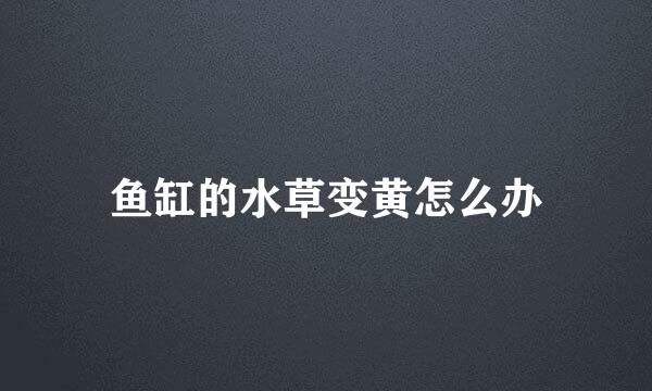 鱼缸的水草变黄怎么办