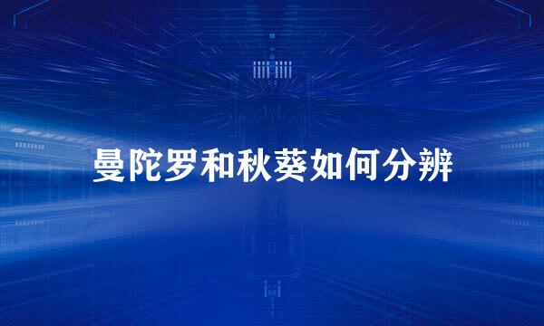 曼陀罗和秋葵如何分辨