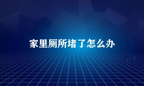 家里厕所堵了怎么办