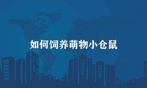 如何饲养萌物小仓鼠