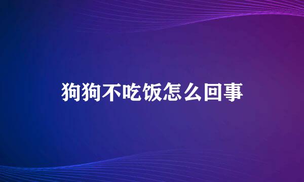 狗狗不吃饭怎么回事
