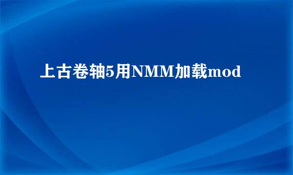 上古卷轴5用NMM加载mod