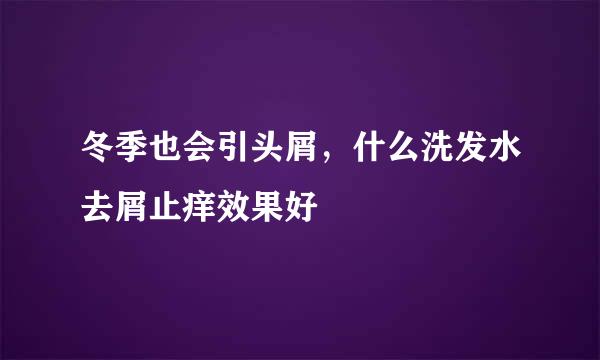 冬季也会引头屑,什么洗发水去屑止痒效果好