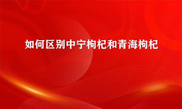 如何区别中宁枸杞和青海枸杞