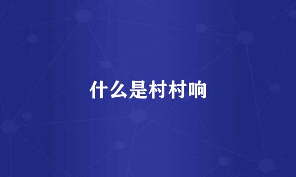 什么是村村响