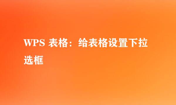 WPS 表格：给表格设置下拉选框