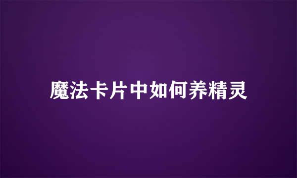 魔法卡片中如何养精灵