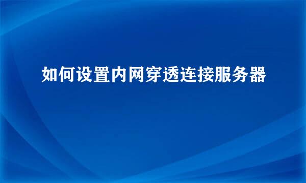 如何设置内网穿透连接服务器