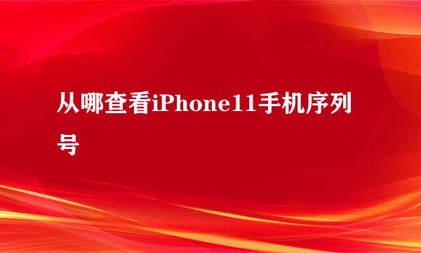 从哪查看iPhone11手机序列号