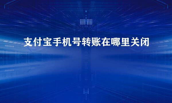 支付宝手机号转账在哪里关闭