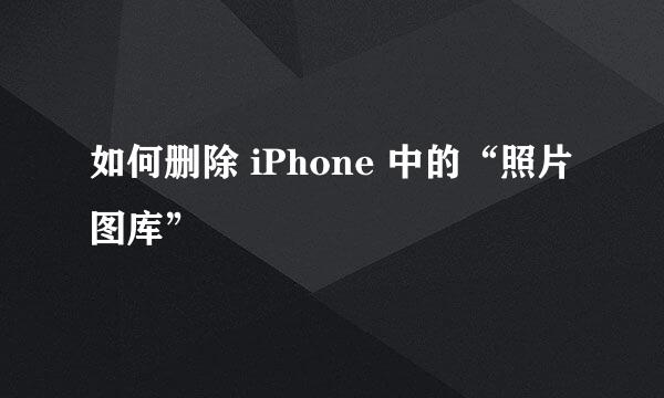 如何删除 iPhone 中的“照片图库”