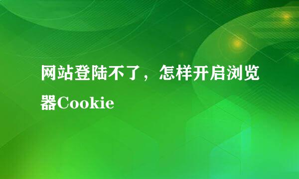 网站登陆不了，怎样开启浏览器Cookie