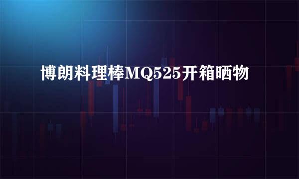 博朗料理棒MQ525开箱晒物