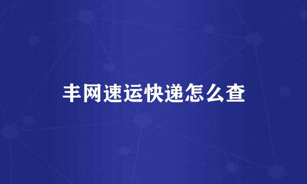 丰网速运快递怎么查