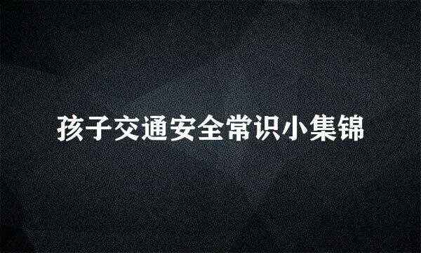 孩子交通安全常识小集锦