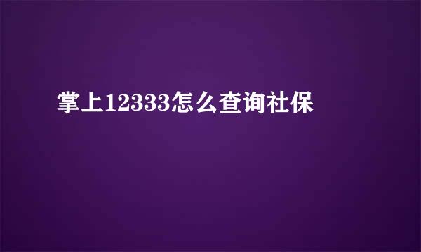 掌上12333怎么查询社保