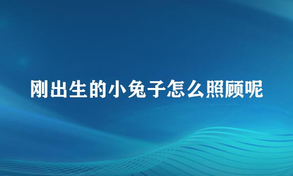 刚出生的小兔子怎么照顾呢
