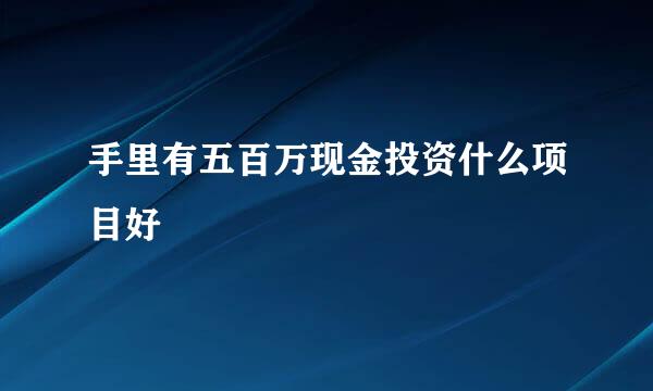 手里有五百万现金投资什么项目好