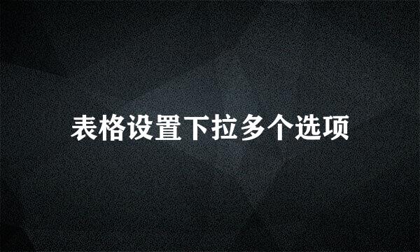 表格设置下拉多个选项