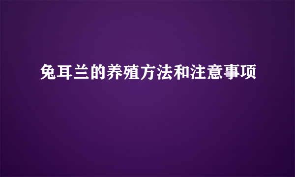 兔耳兰的养殖方法和注意事项