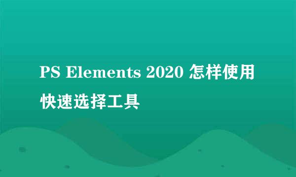 PS Elements 2020 怎样使用快速选择工具
