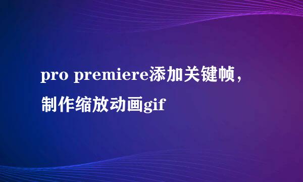 pro premiere添加关键帧，制作缩放动画gif