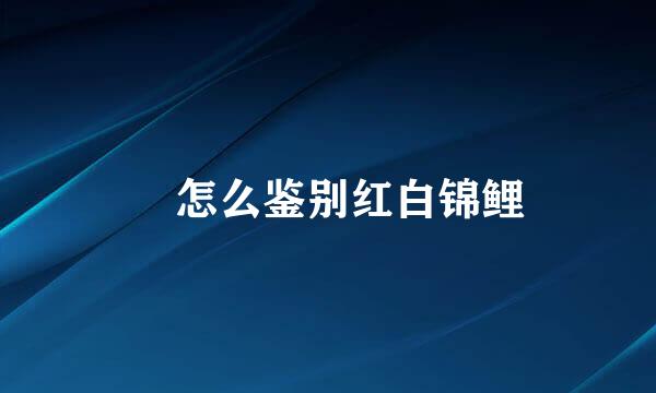 ​怎么鉴别红白锦鲤