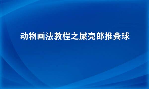 动物画法教程之屎壳郎推粪球