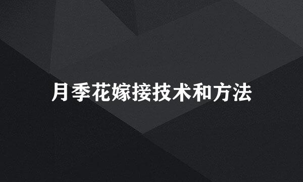 月季花嫁接技术和方法